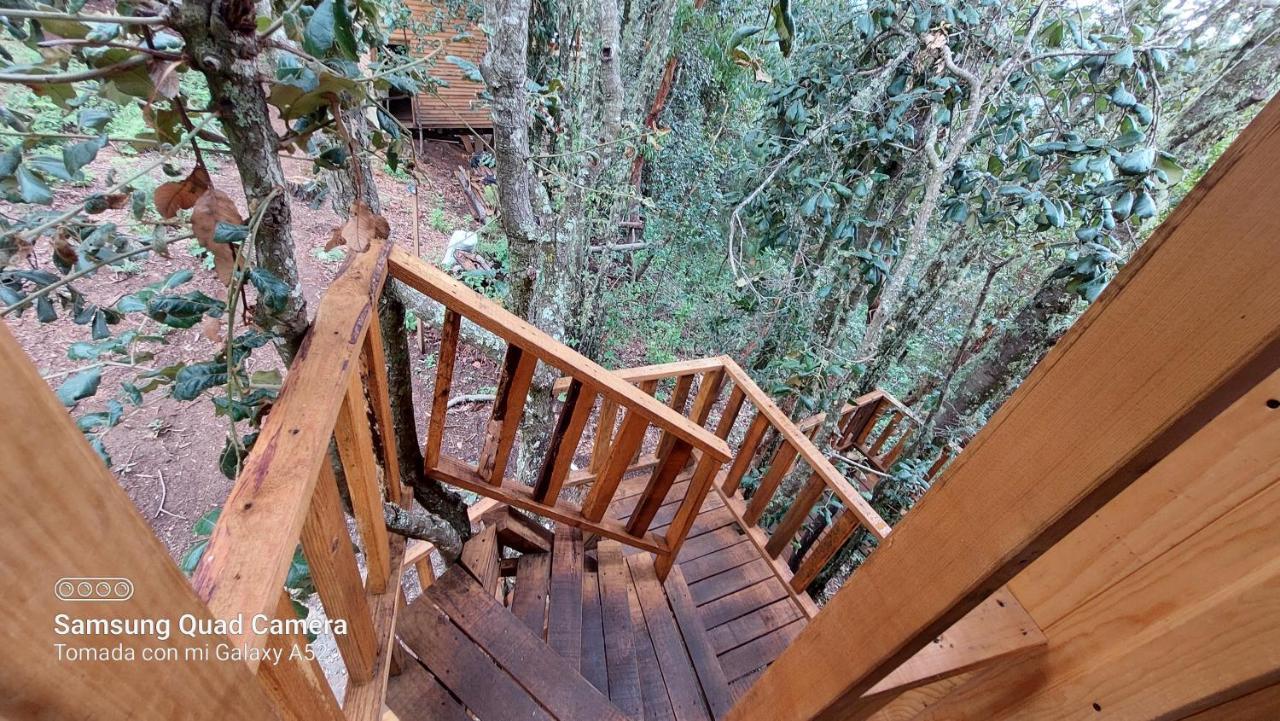 Cabana En El Bosque De San Jose Del Pacifico Exterior photo