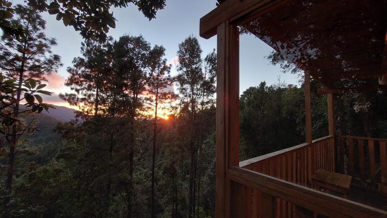 Cabana En El Bosque De San Jose Del Pacifico Exterior photo