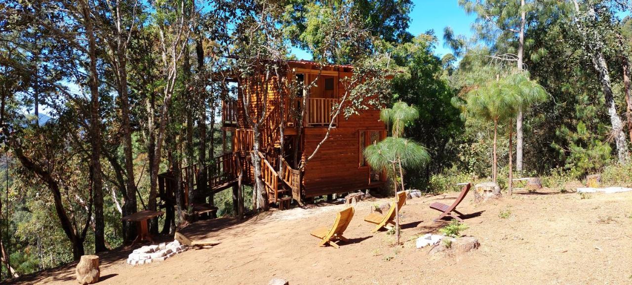 Cabana En El Bosque De San Jose Del Pacifico Exterior photo
